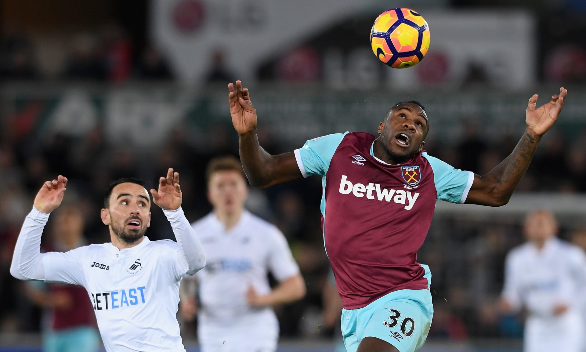 他们在关注 他们在关注